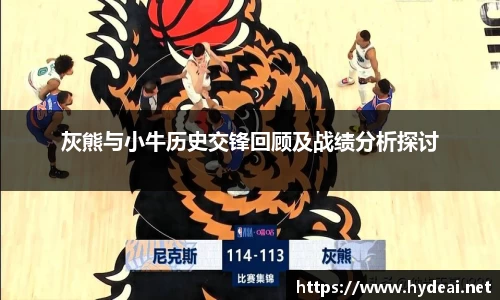 灰熊与小牛历史交锋回顾及战绩分析探讨