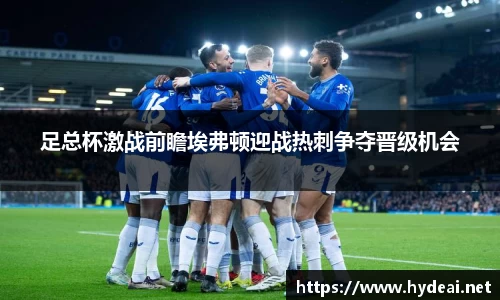 足总杯激战前瞻埃弗顿迎战热刺争夺晋级机会